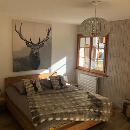 Le Cerf, Magnifique Avec Jardin-terrasse Et Garage Lägenhet Evolène