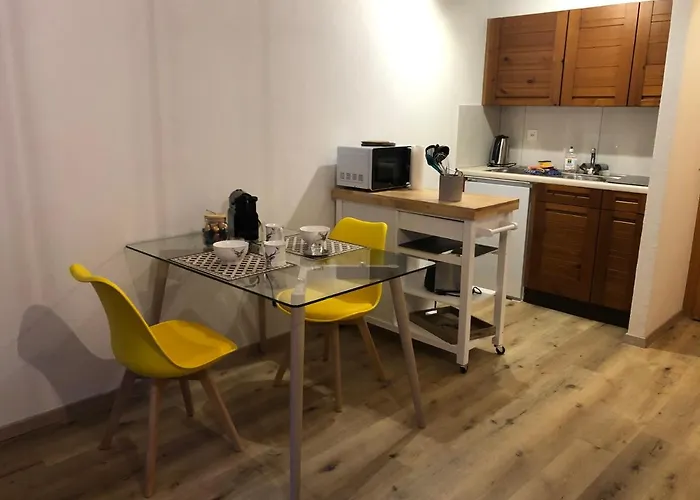Le Cerf, Magnifique Avec Jardin-terrasse Et Garage Apartament